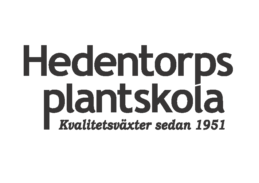 Hedentorps Plantskola hemsida
